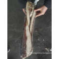 Frozen squid Dosidicus gigas fillets skinless by hand